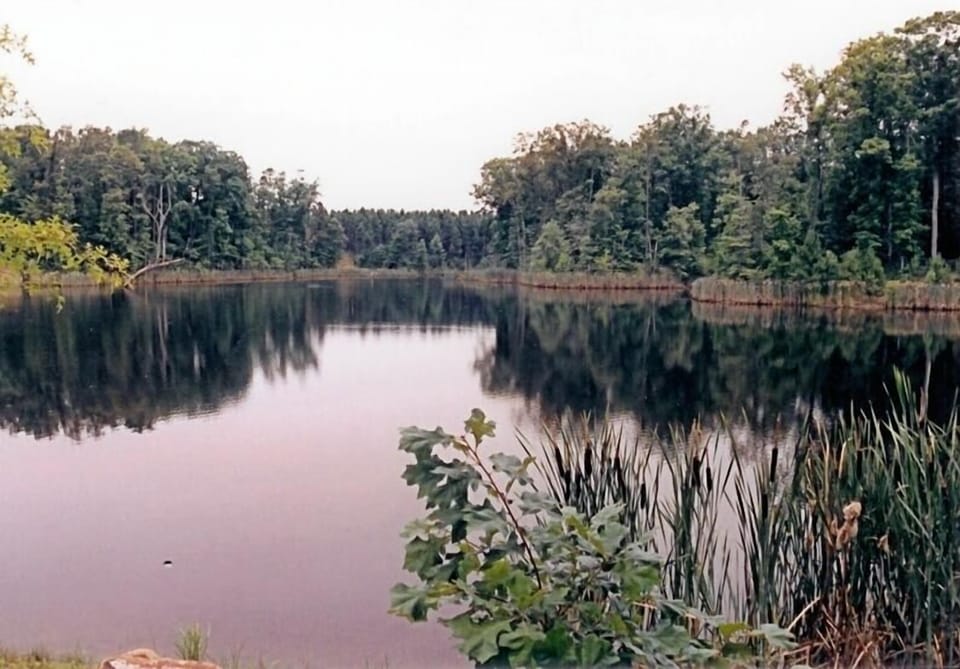 7 acre pond stocked with Bass, Catfish, Crappie and Bream only a short walk away