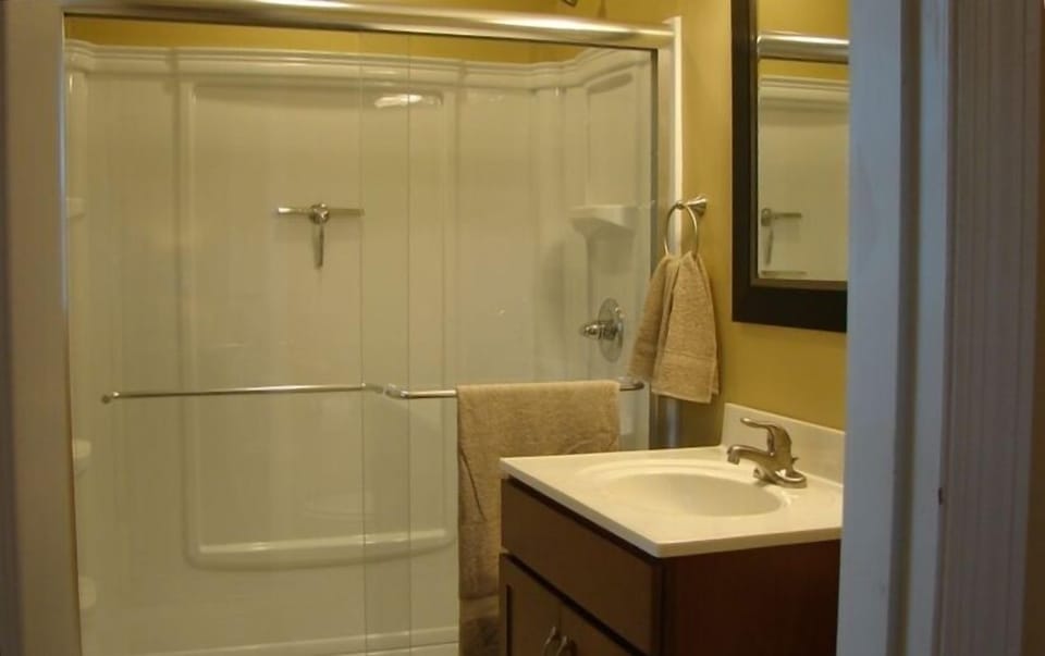 New Bathroom with Shower