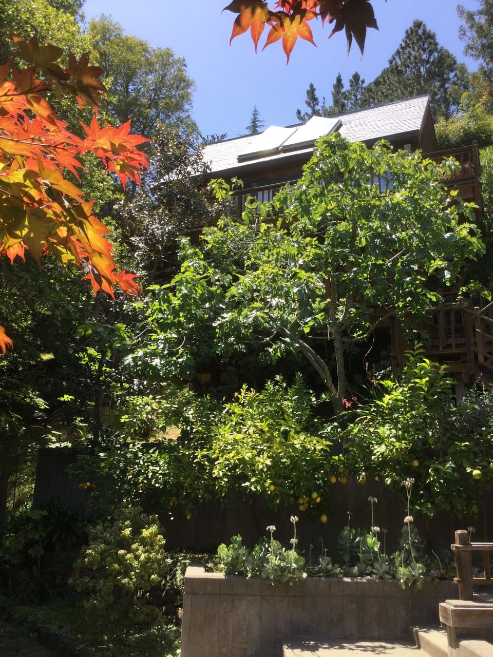 Cottage perched on a hillside facing east