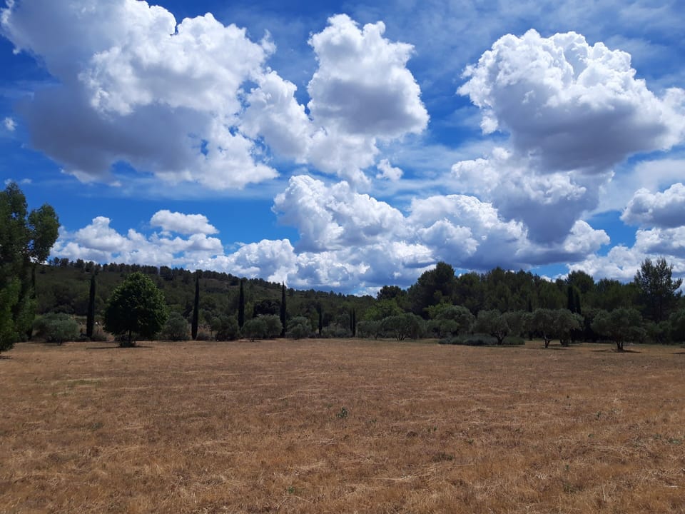Le jardin privatif