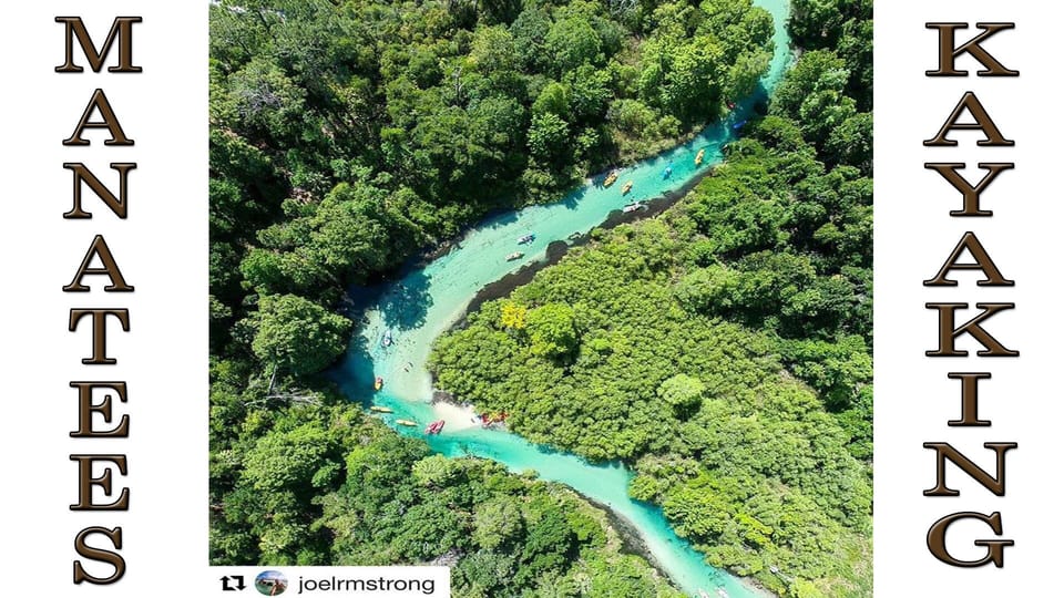 Crystal Clear waters of the Weeki Wachee River!