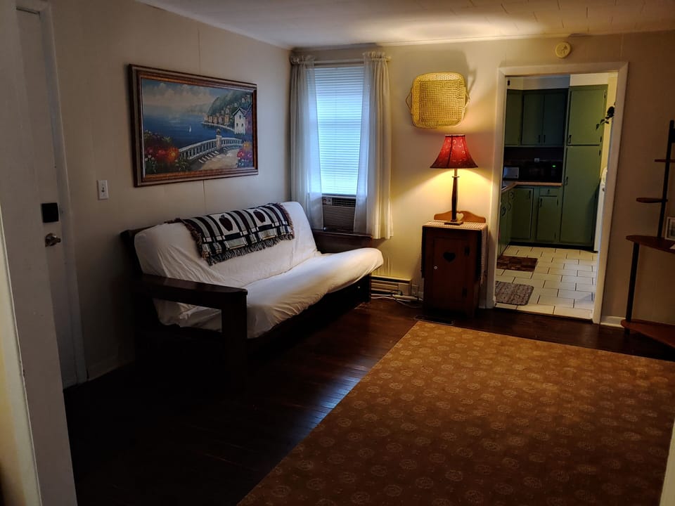 Entry room with futon