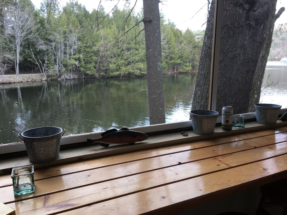 View from screened porch