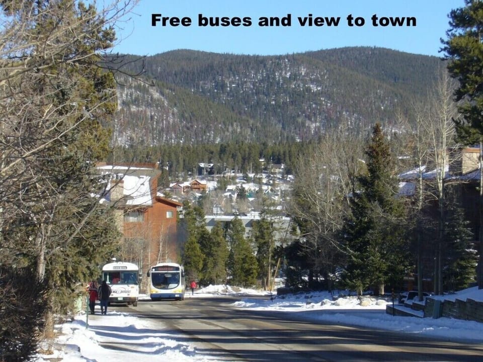 Easy walk to the middle of town and Riverwalk. Free shuttle also available.