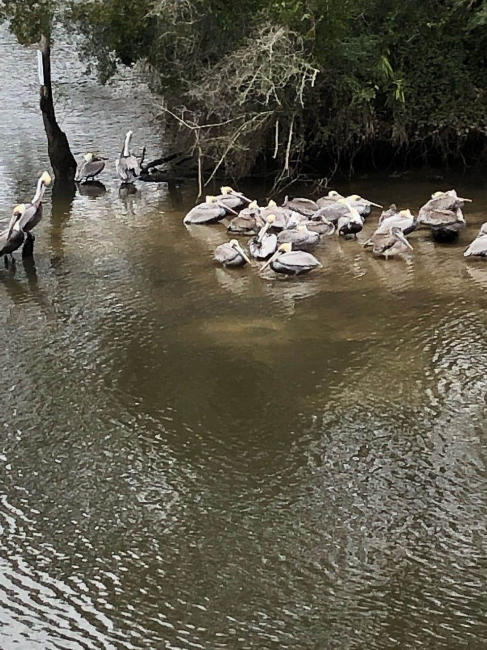 SIT AND WATCH THE NATURE