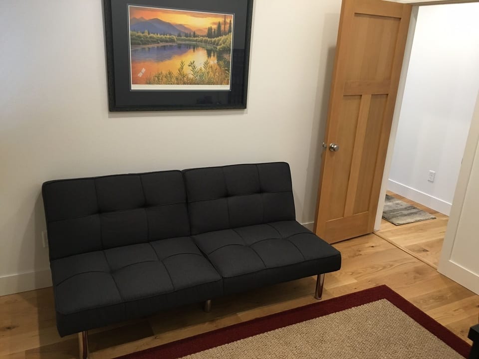 Second bedroom with a futon for small kids.