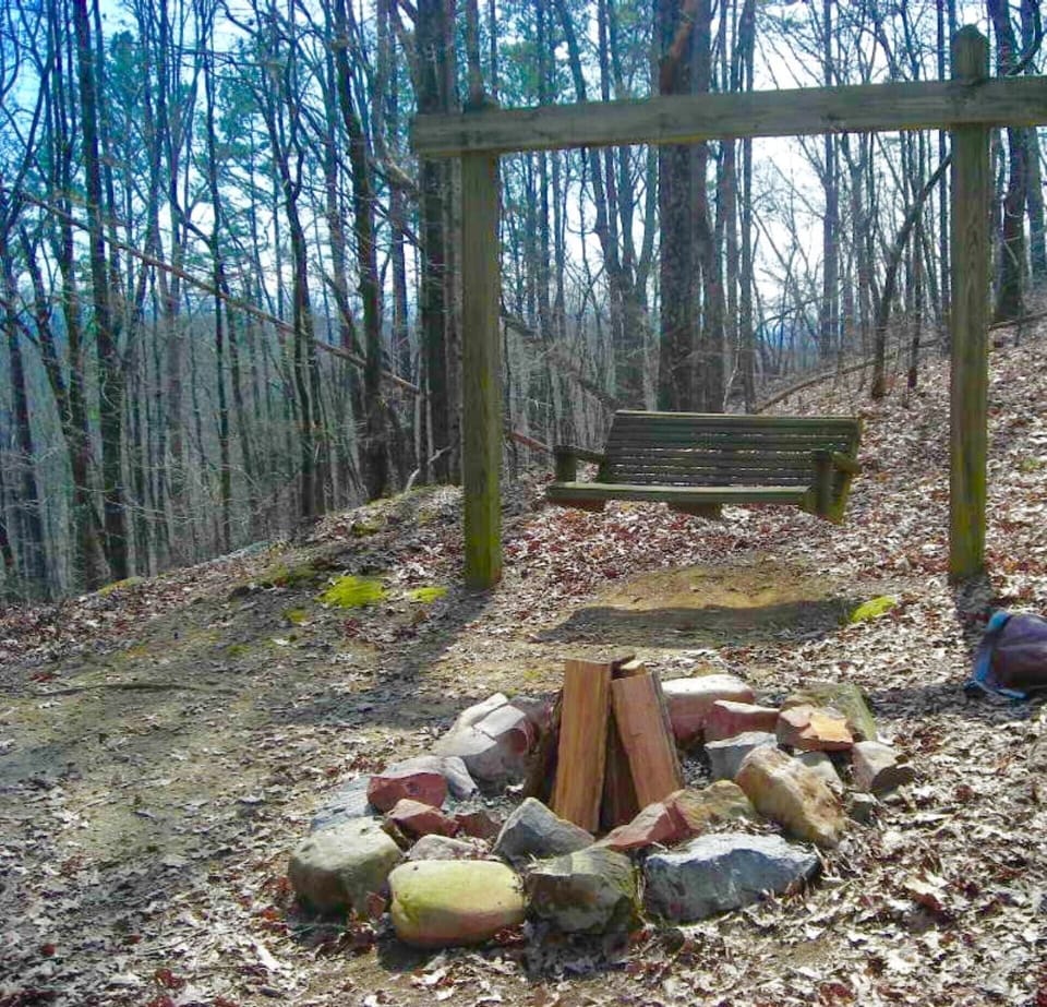 Fire Pit & Swing