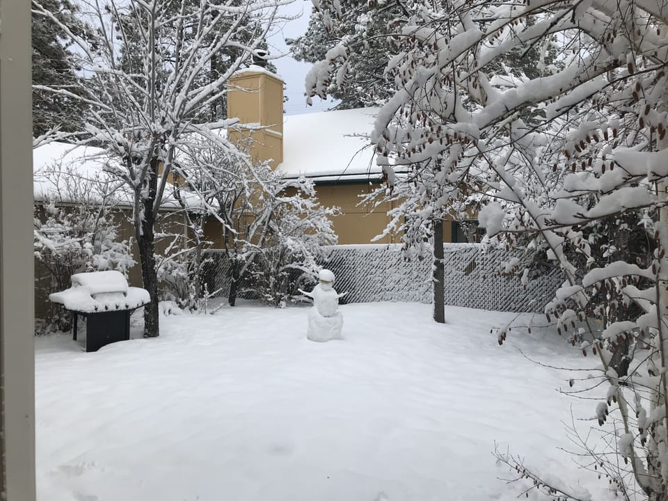 Backyard is great for snow play!   
