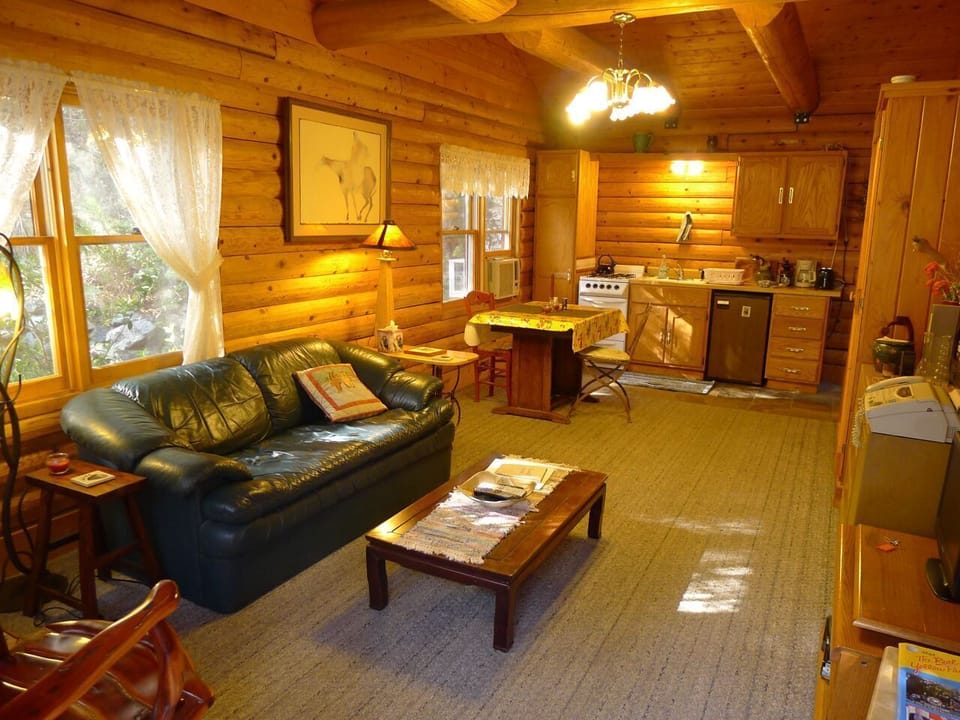 Living, dining, kitchen area, with vaulted ceilings, and hearth stove in corner.