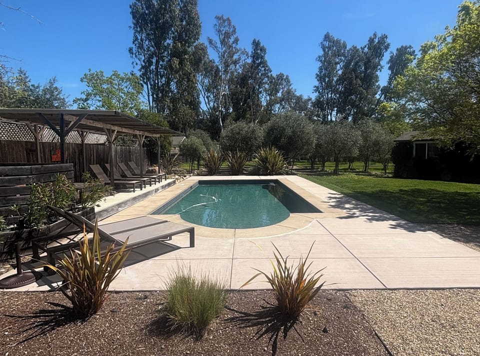 Pool between pergola shaded sitting and grassy area, plus mature olive trees