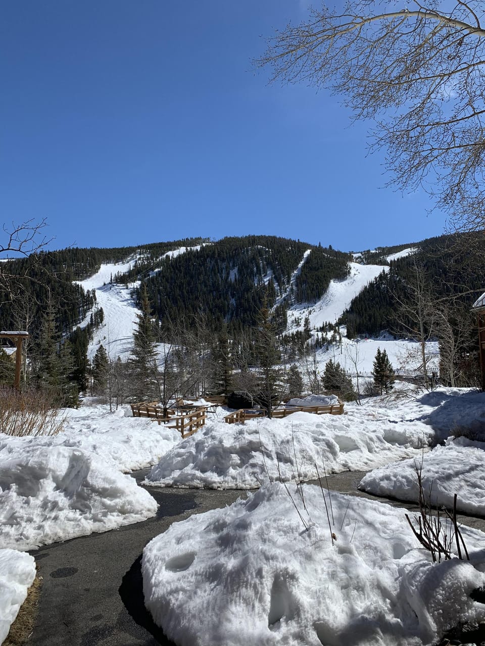 Winter view of slopes from back porch.