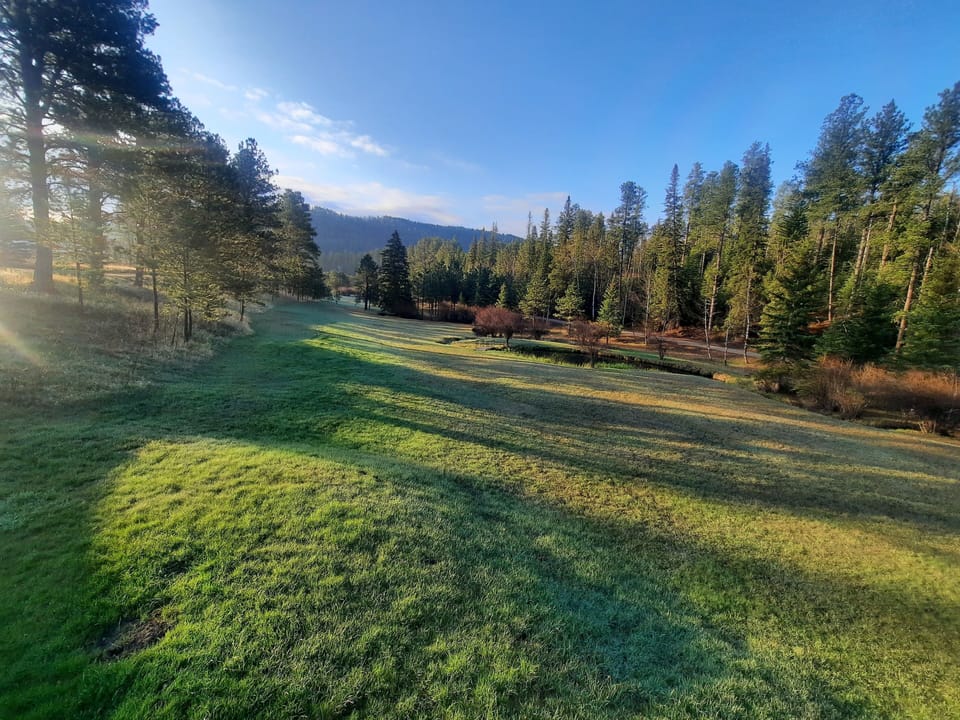 Mornings from the Deck!
