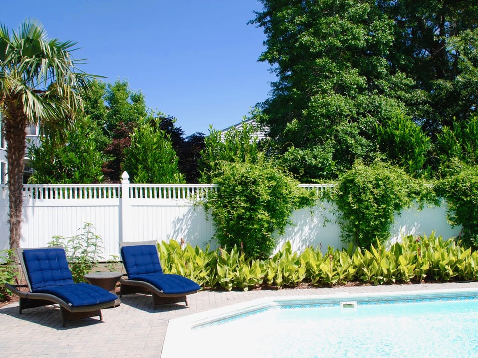 Backyard pool area.