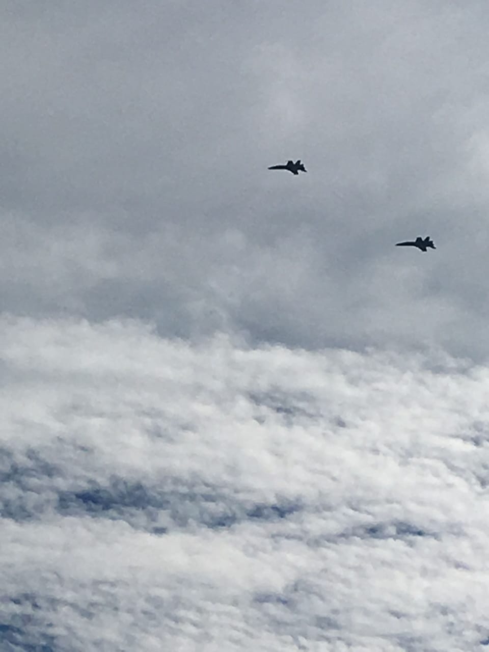 Blue Angels practicing - view from back porch - happens pretty frequently

