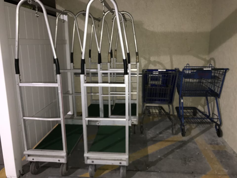Shopping & Luggage Carts