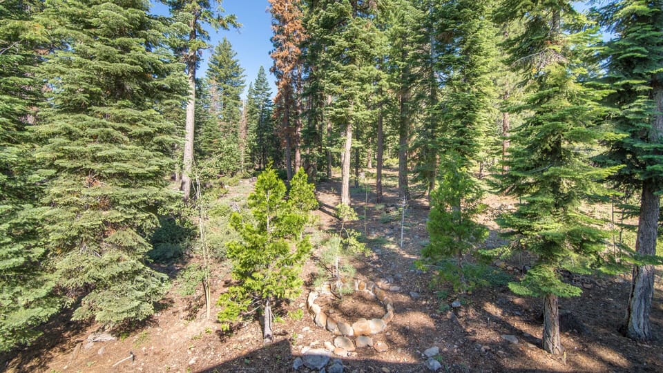 Views from back deck - do you see the bears yet?