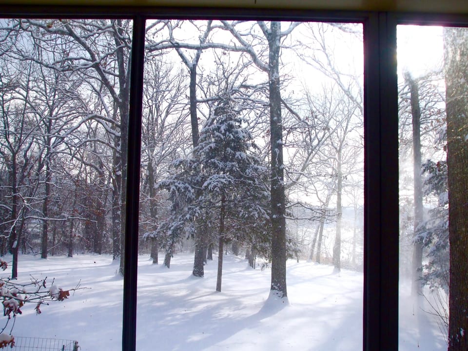 Looking out the picture window at the point