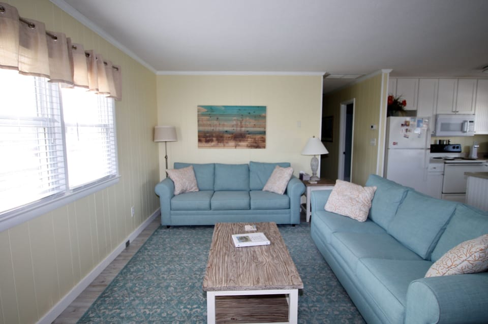 Two new sofas, including a queen sleeper.  New rugs and coffee tables.