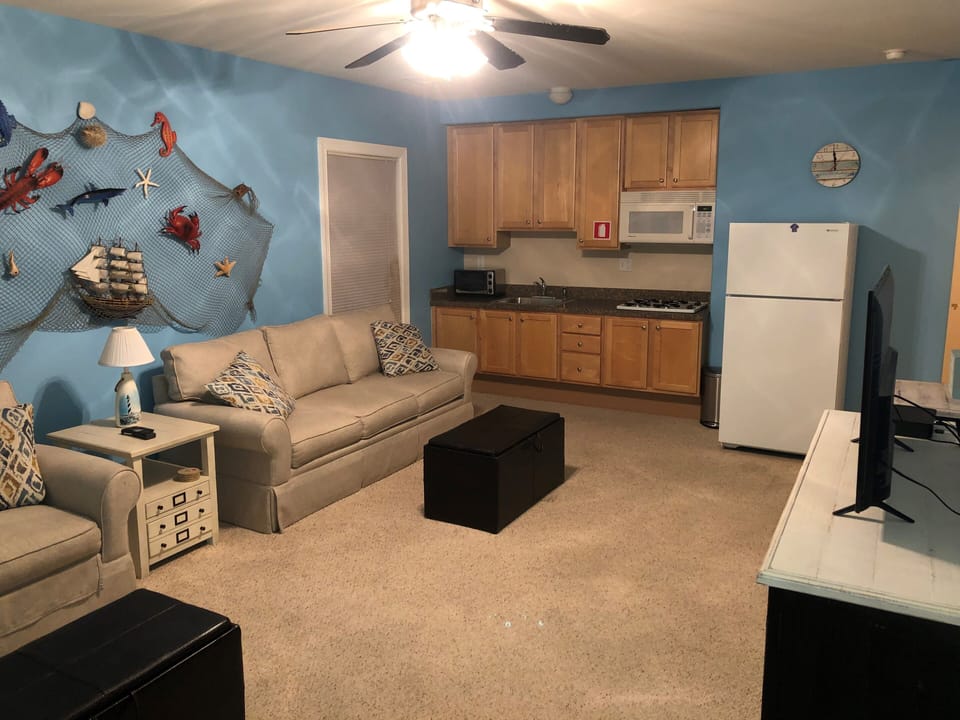 Downstairs bonus room