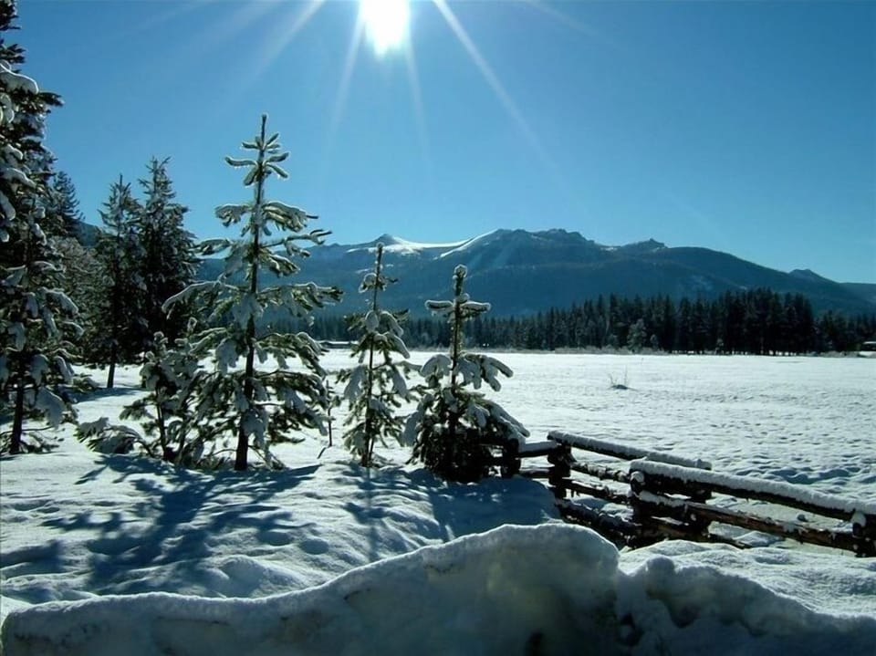 Winter meadow for cross country skiing or snowshoeing