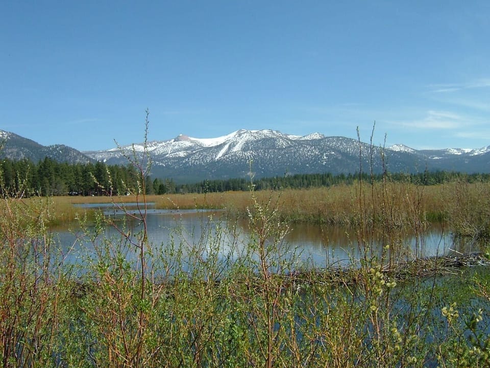 Upper Truckee Marsh in Spring