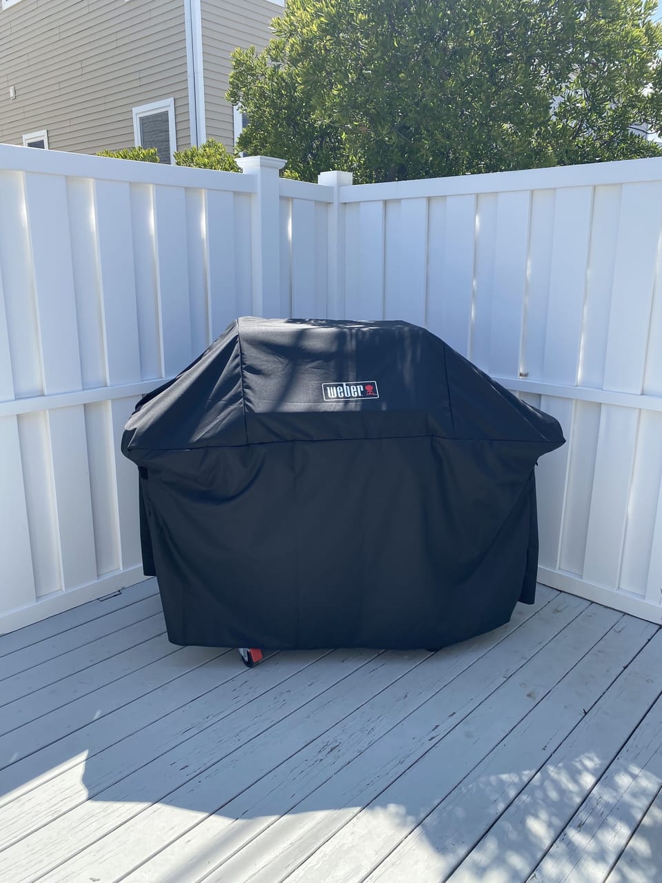 Weber Grill
