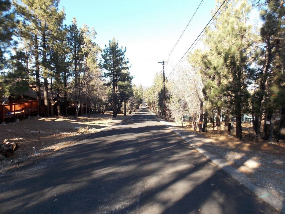 Street in Front of Cabin