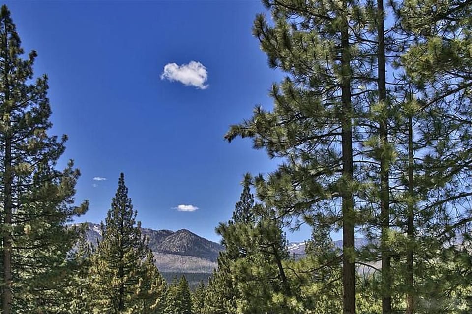 Elk View at Tahoe - view from the Great Room window