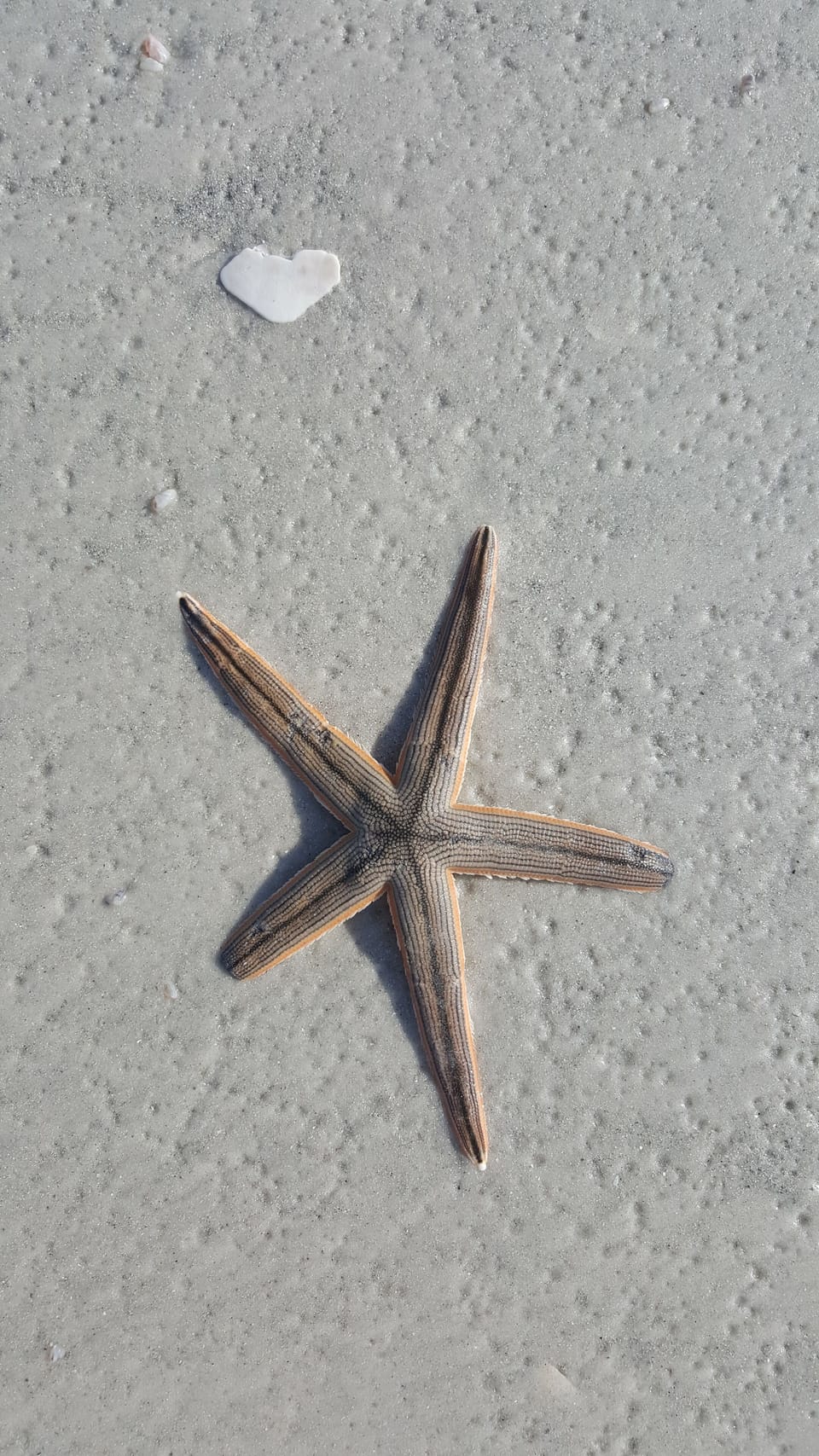 Ohhhh! The things you can find !! 