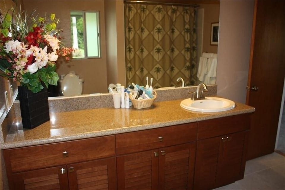 Newly remodeled master bathroom