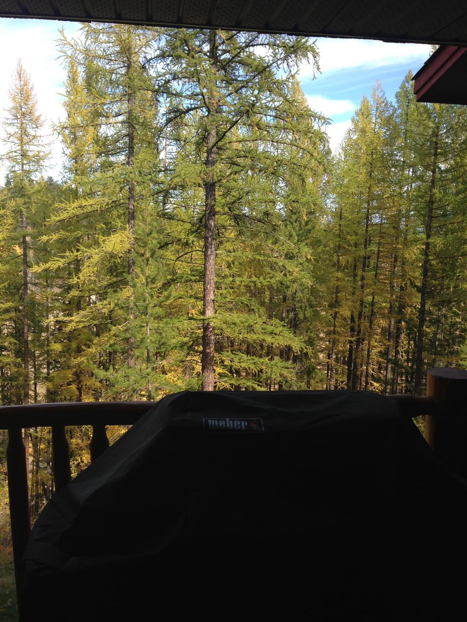 View from hot tub