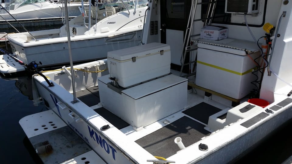 Deck and swim platform