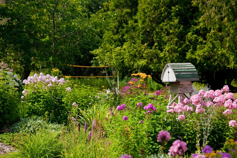 Gardens and old apple orchard in the heart of the village
