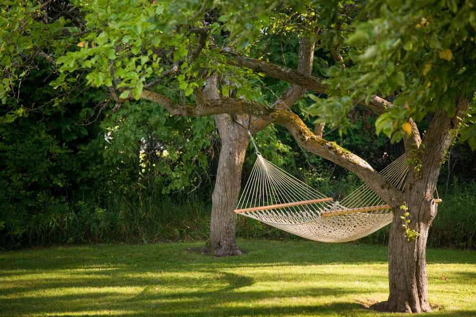 Songbirds lull you to sleep as you laze in your hammock