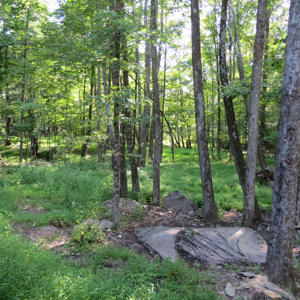 natural rock garden in the back yard.