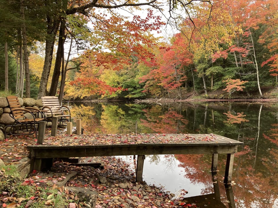 Beautiful in the Fall