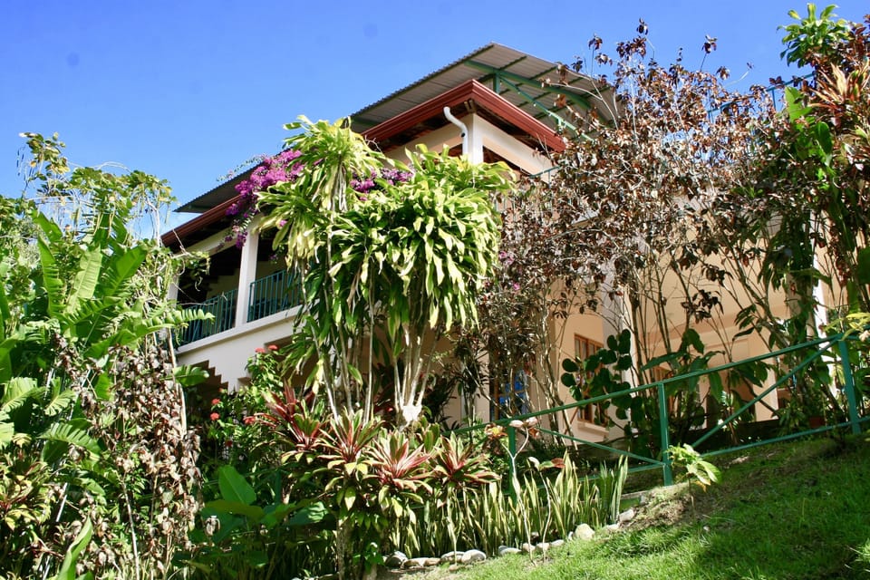 Front of house and gardens
