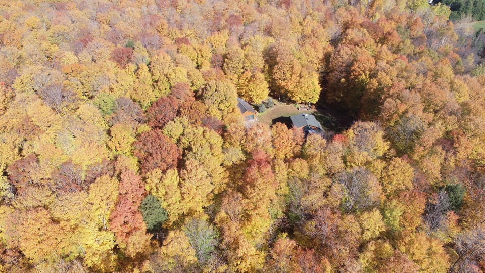 our 40 acres