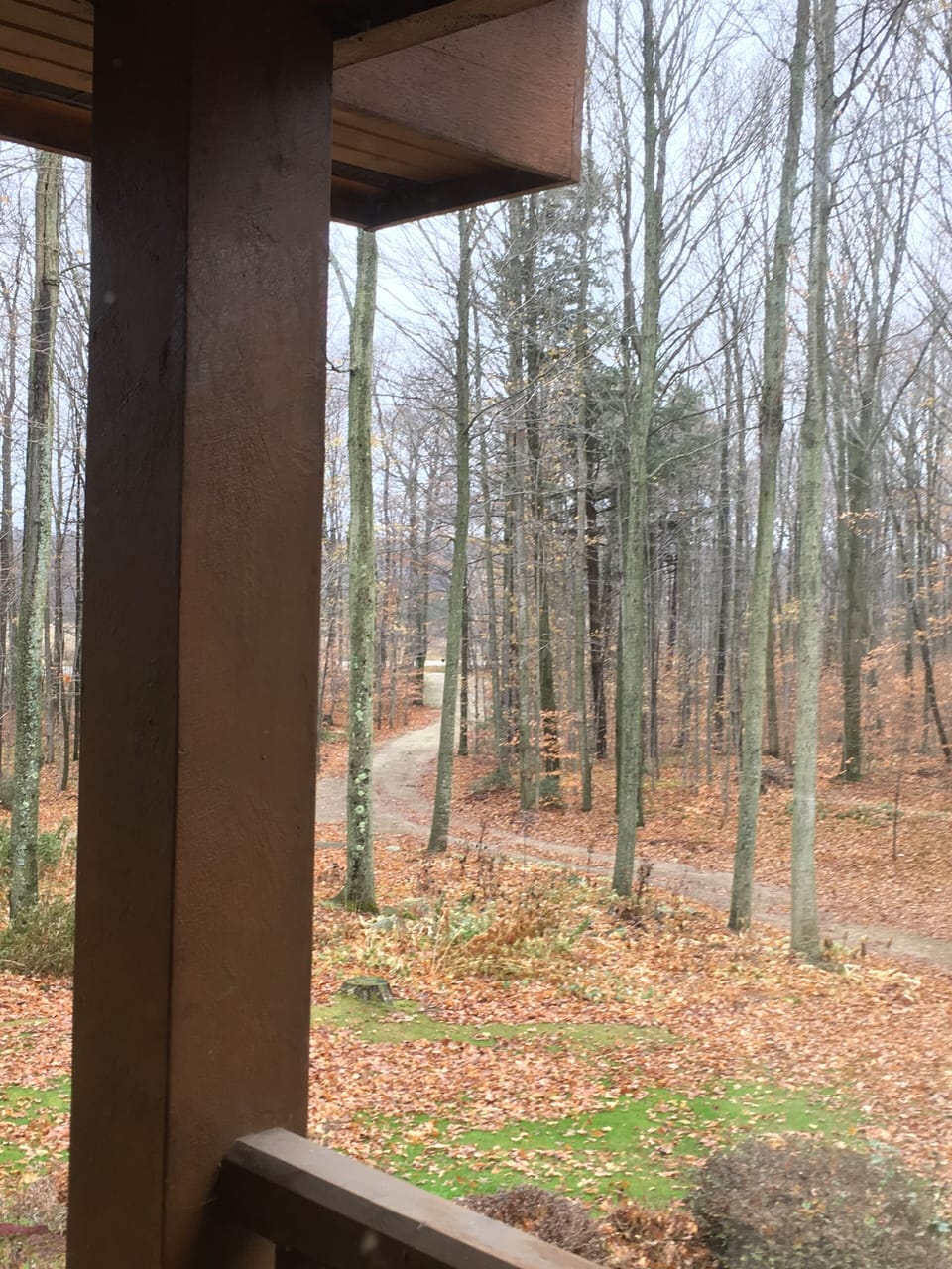 Looking at the driveway from the house