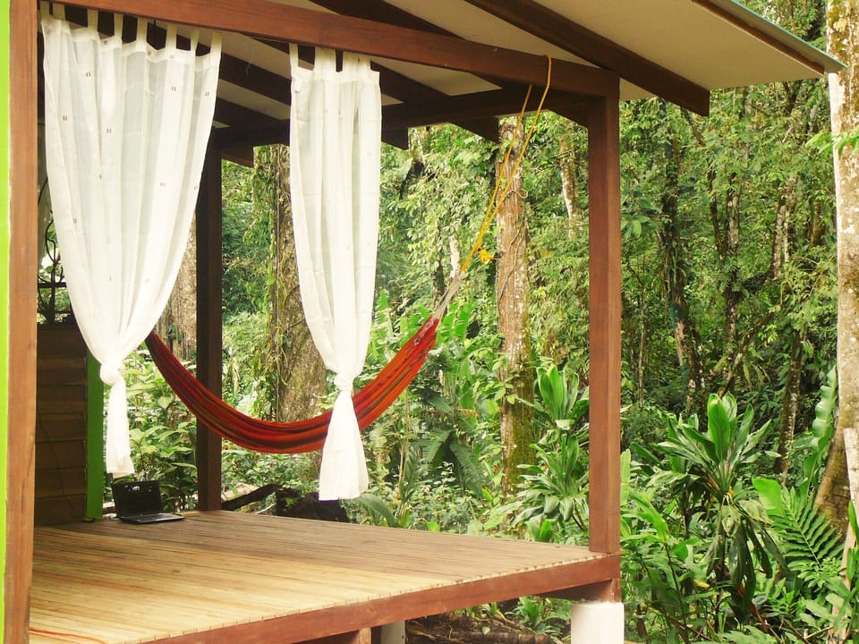 terrace view