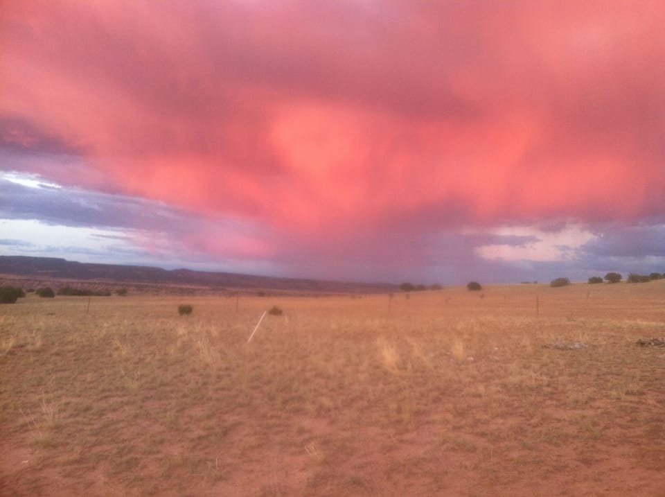 All photos were taken from the property!