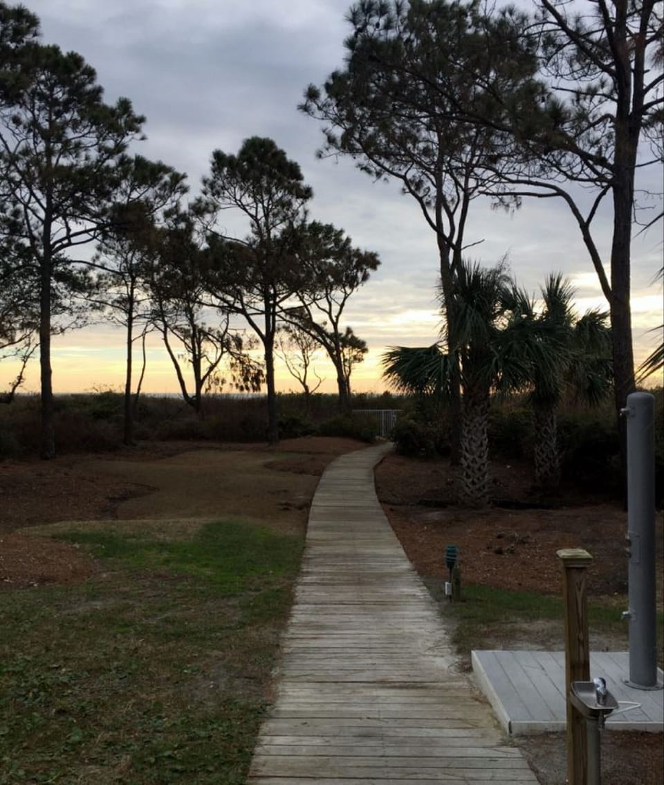 Path to the Beach 