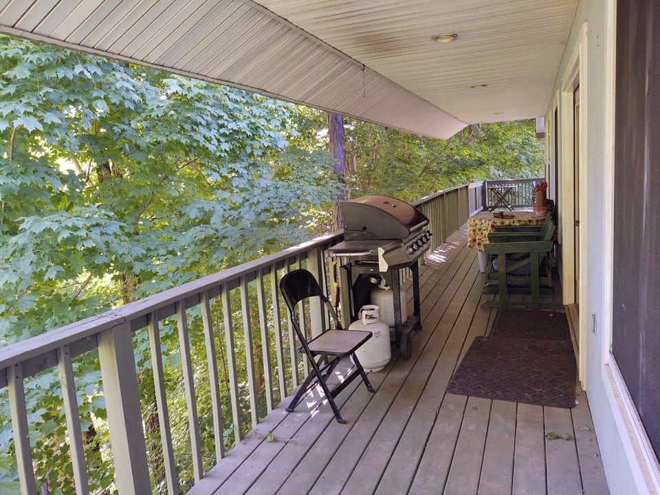 Chill & grill on the back treetop deck area.