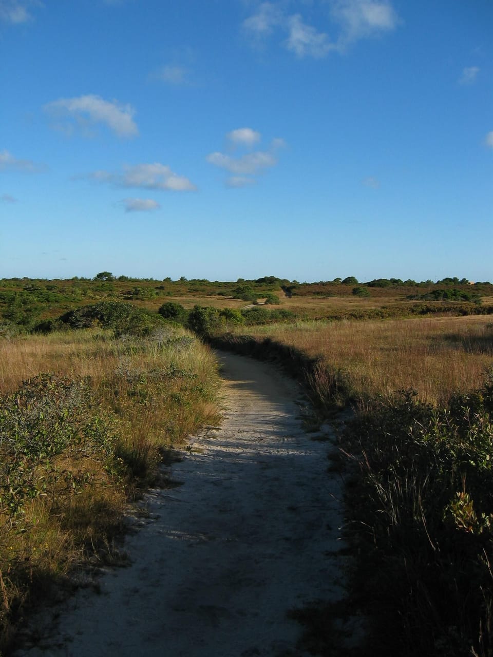 Path to calm local beach from house.