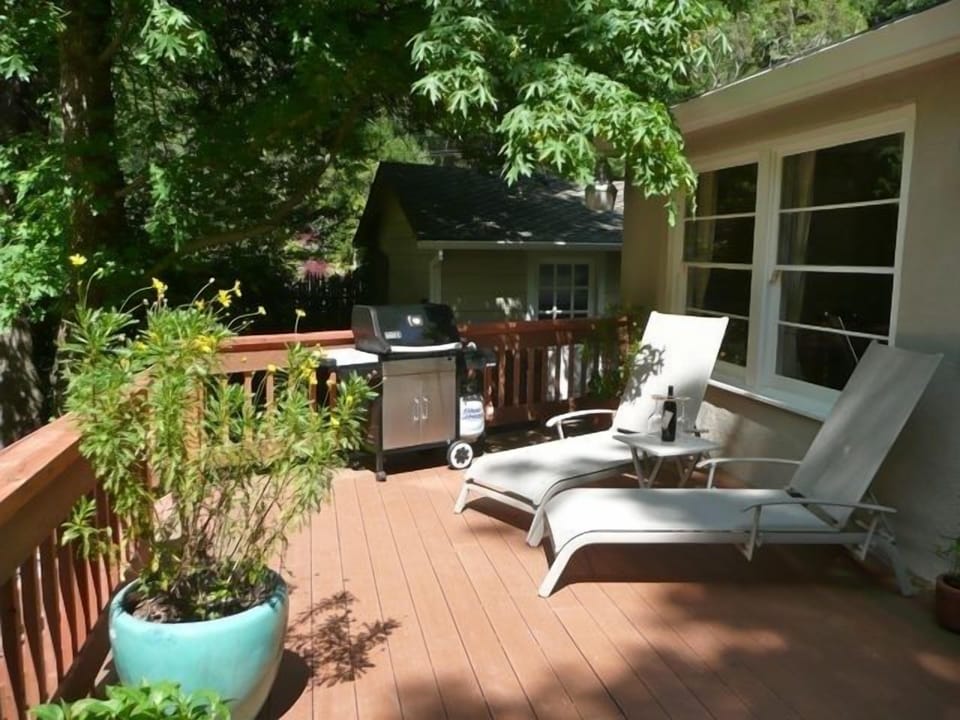 Weber gas BBQ for your culinary expressions. 