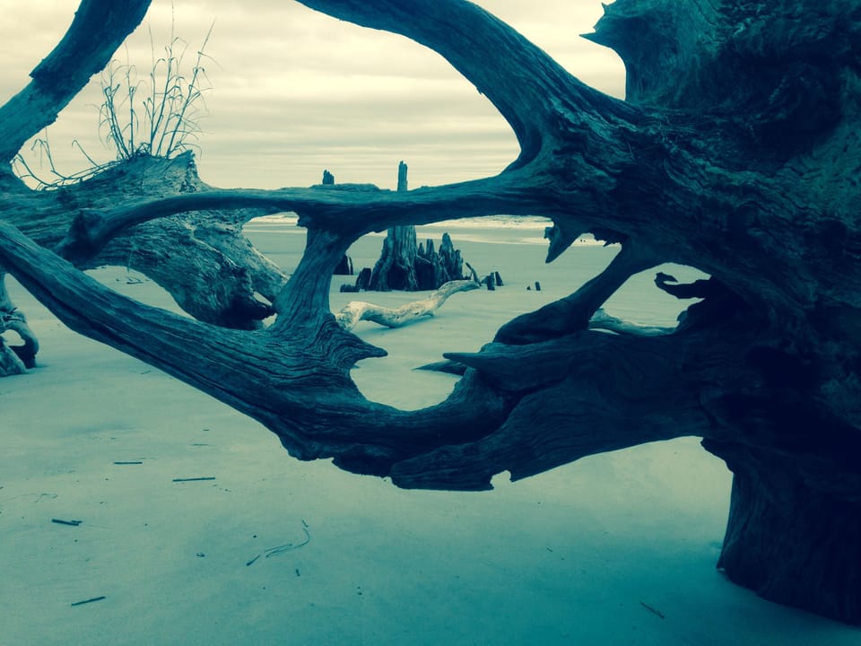 My Heart Hunting Island