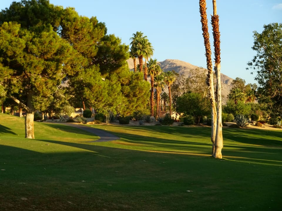 Southwest view (looking right) from the patio in late afternoon