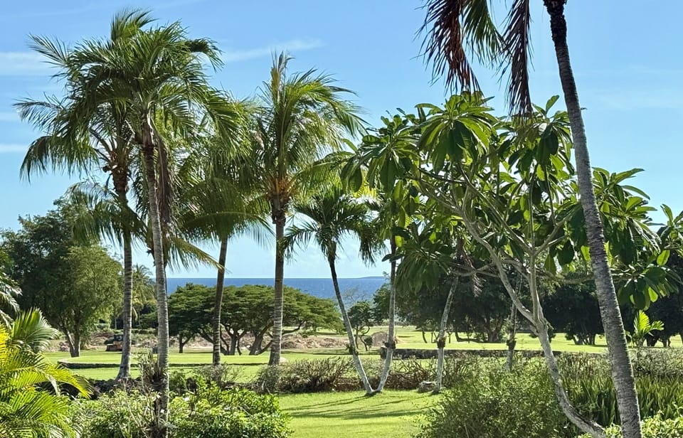View from master bedroom patio