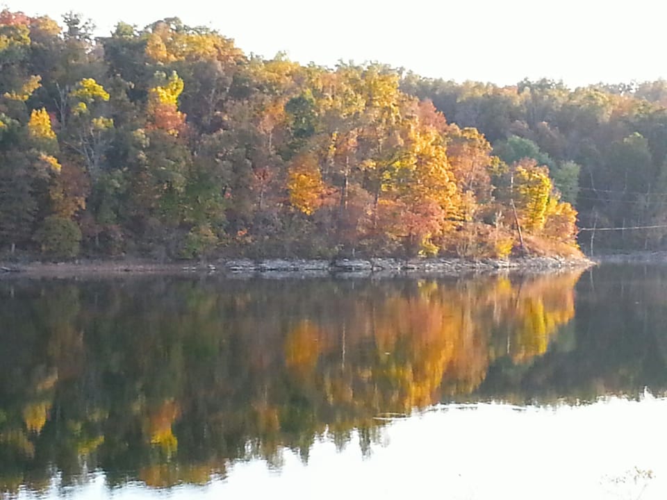 Equally gorgeous in the fall and spring!