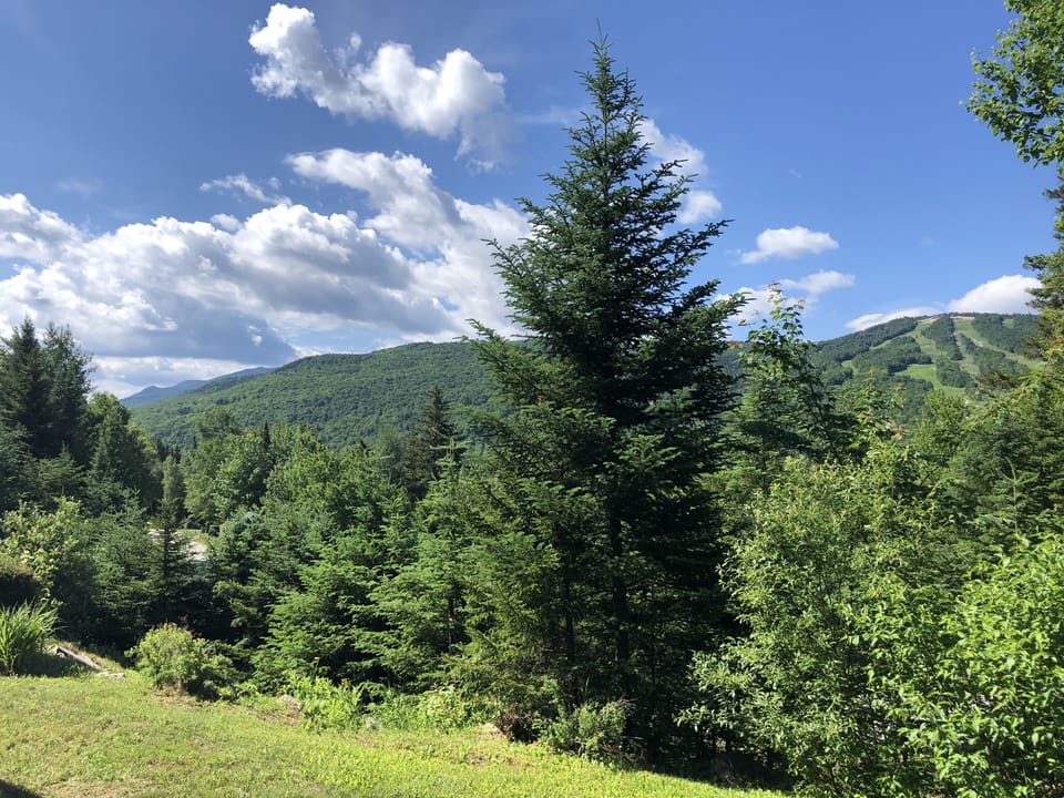 Summer views